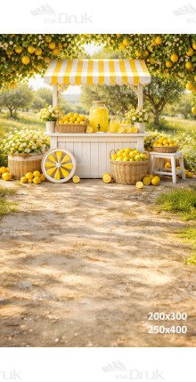 Tło fotograficzne „Lemoniadowy stragan w sadzie cytrynowym” | 4005